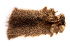 Raccoon (skin)