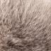 Domestic Rabbit (skin)