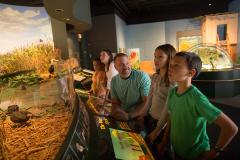Discover: Habitat Connections