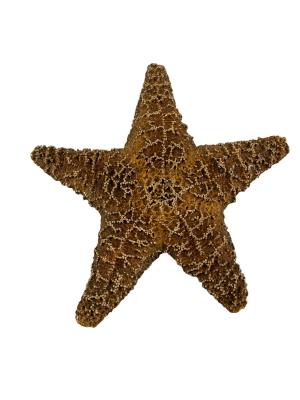 Sea Star