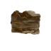 Petrified Wood
