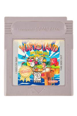 Video Game