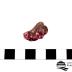Erythrite 