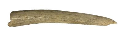 Antler Chunk