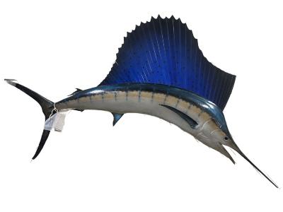 Sailfish