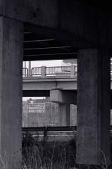 Digital Photograph