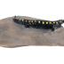 Spotted Salamander (replica)