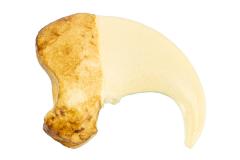 Cheetah (claw cast) 
