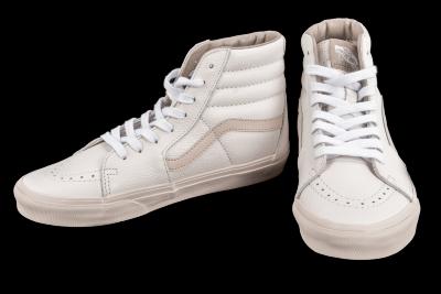 SK8-Hi Premium Leather Shoe