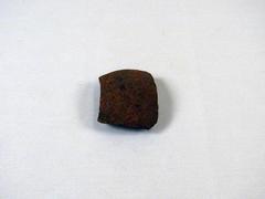 Shell Fragment