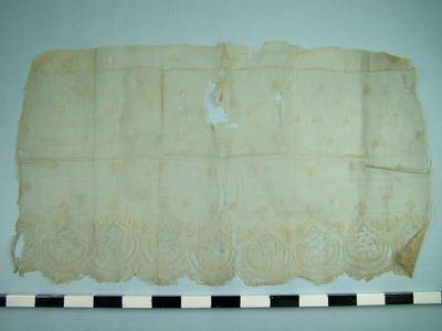 Cloth
