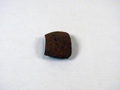Shell Fragment