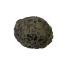 Colony Coral Fossil
