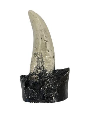 Tyrannosaurus Rex Tooth Replica
