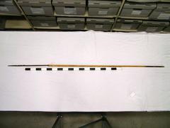 Javelin