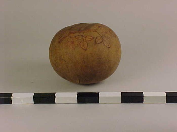 Tree Gourd, Woodburnt