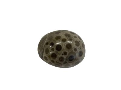 Petoskey Stone