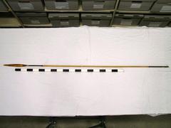 Reed, Javelin, Flat Bamboo Tip