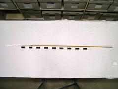 Javelin