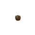 Blastoid head