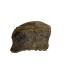 Dinosaur bone chunk