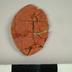 Seal, Impression Of The Seal Of The Bishop Of St. Asaph