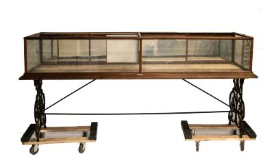 Display Case And Stand