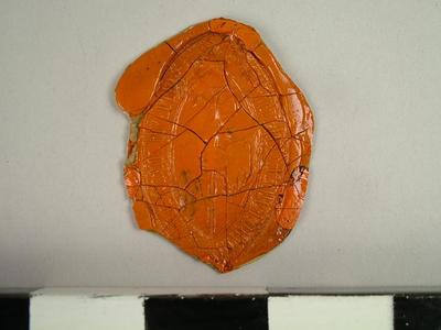 Seal, Impression Of The Seal Of The Chapter Of Coniscliffe,  County Durham