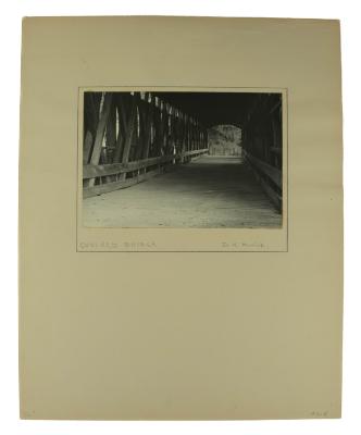 Photograph