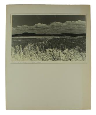 Photograph, Mountain Meadow 