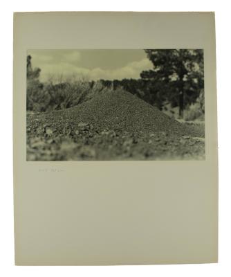 Photograph, Ant Hill