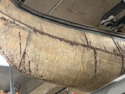 Birch Bark Canoe (Wiigwaasi-Jiimaan)