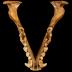 Striped Skunk (skull)