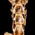 Eastern Cottontail Rabbit (skull)