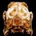 Eastern Cottontail Rabbit (skull)