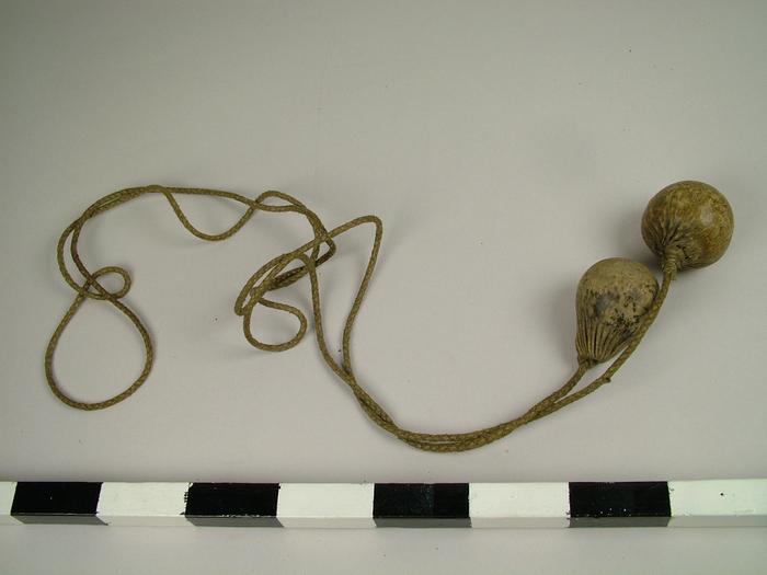Hobble Sling