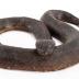 Northern Red-bellied Watersnake (replica)