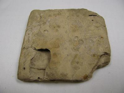 Hardtack