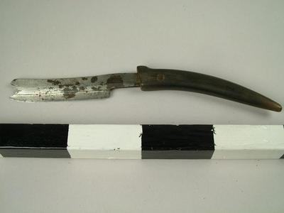 Razor