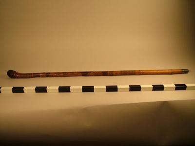 Cane