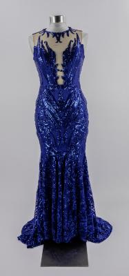 Pageant Dress