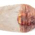 Knife (Reproduction)