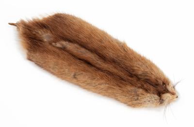 Tanned Muskrat Hide