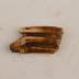 Horse (molar)