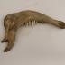 Cow (dentary)