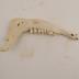 White-tailed Deer (skeletal)