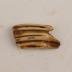 Horse (molar)