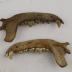 Dog (dentaries)