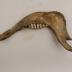Cow (dentary)