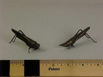Figures, Insects